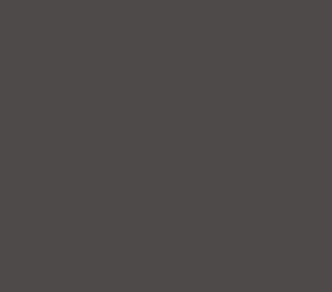 Unity In-House Gris Lava