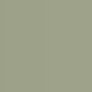 St. Martin Sage Green